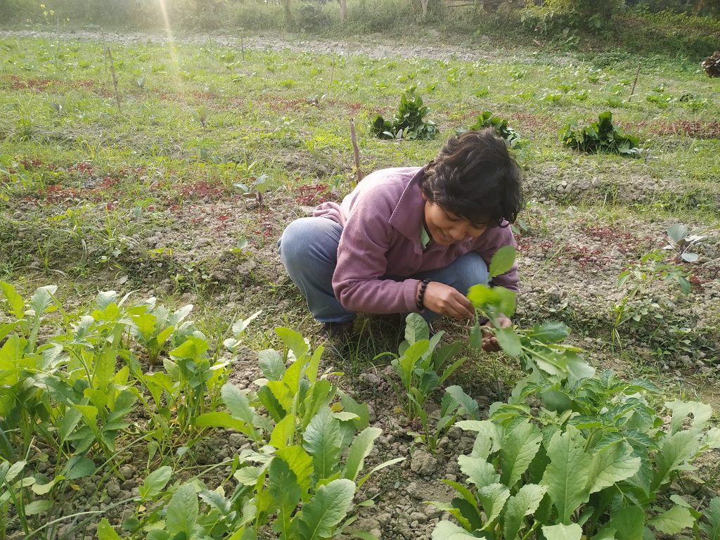 467427284 1045317454027878 1020486706434840143 n