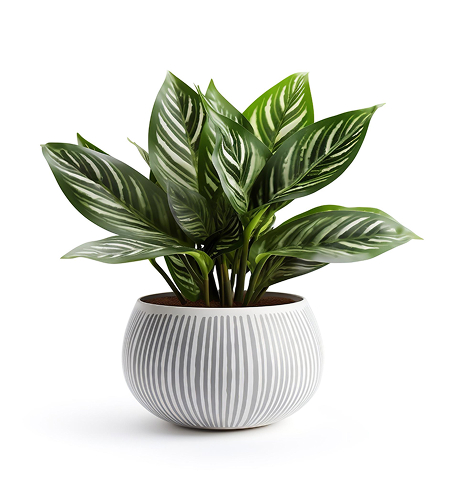 Home dessert bloom.jpg