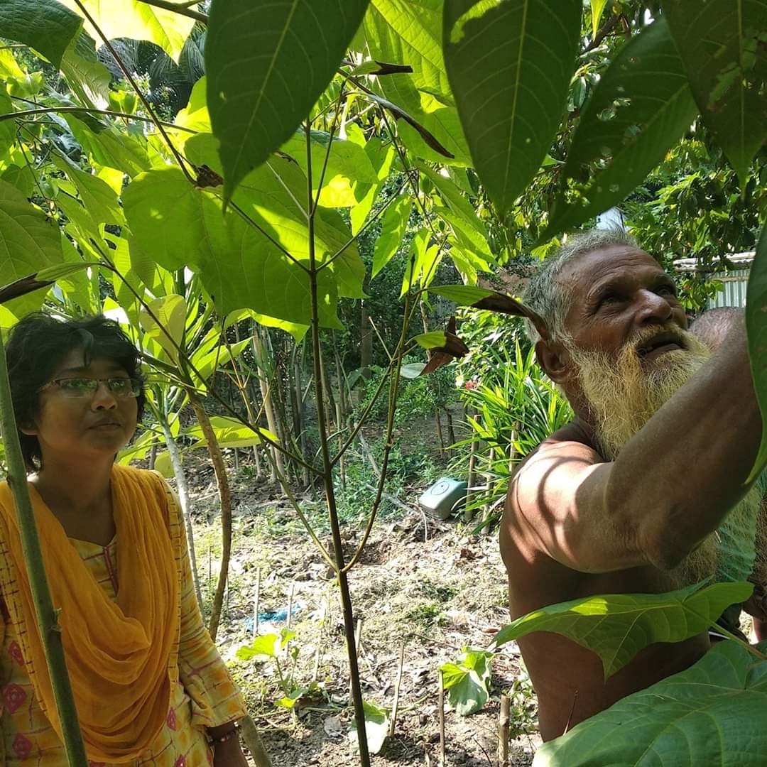 সাফা