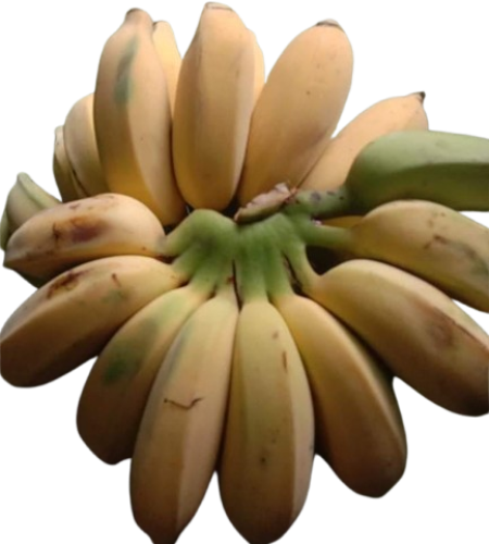 কলা removebg preview